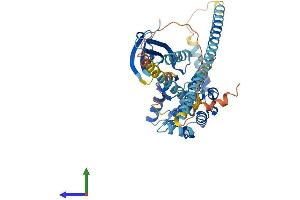 AlphaFold protein structure predicition of Mouse Recombinant Nek2 Protein, UniprotID O35942