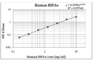 ELISA image for Hypoxia Inducible Factor 1, alpha Subunit (Basic Helix-Loop-Helix Transcription Factor) (HIF1A) ELISA Kit (ABIN5026956)