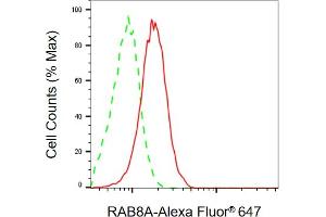 Flow cytometric analysis of RAB8A expression in HepG2 cells using RAB8A antibody (ABIN7800106), 1:2,000). (RAB8A 抗体)