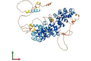 Protein Structure (PS) image for Plakophilin 1 (PKP1) (AA 1-747) protein (His tag) (ABIN7550780)
