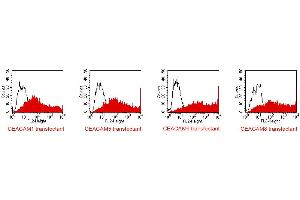 FACS analysis of BOSC23 cells using TET2. (CEACAM 1,5,6,8 抗体)