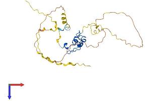 Nanos Homolog 1 Protein (NANOS1) (AA 1-267) (His tag)