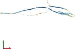 AlphaFold protein structure predicition of Human Recombinant CKAP4 Protein, UniprotID Q07065
