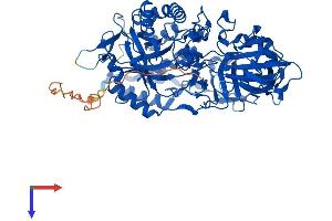 AlphaFold protein structure predicition of Human Recombinant GLB1L3 Protein, UniprotID Q8NCI6