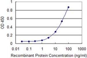Detection limit for recombinant GST tagged MLF2 is 0. (MLF2 抗体  (AA 1-248))