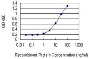 Detection limit for recombinant GST tagged GAGE5 is 0. (G Antigen 5 抗体  (AA 28-117))