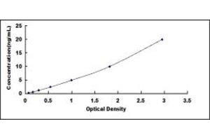 Typical standard curve (DDOST ELISA 试剂盒)