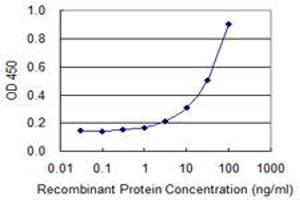 Detection limit for recombinant GST tagged TK1 is 1 ng/ml as a capture antibody. (TK1 抗体  (AA 1-234))