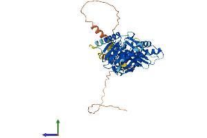 Protein Structure (PS) image for THUMP Domain Containing 3 (THUMPD3) (AA 1-505) protein (His tag) (ABIN7556825)