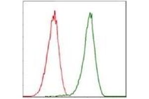 Flow Cytometry (FACS) image for anti-Cyclin-Dependent Kinase 2 (CDK2) antibody (ABIN1106645)