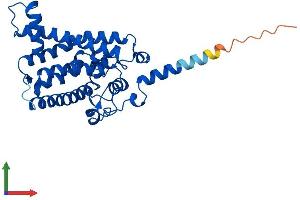 AlphaFold protein structure predicition of Mouse Recombinant Sc5d Protein, UniprotID O88822 (SC5DL Protein (AA 1-299) (His tag))