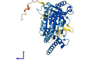 Protein Structure (PS) image for Thyroid Hormone Receptor Interactor 13 (TRIP13) (AA 1-432) protein (His tag) (ABIN7554895)