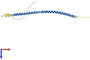 AlphaFold protein structure predicition of Human Recombinant AARD Protein, UniprotID Q4LEZ3