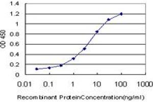 Detection limit for recombinant GST tagged RIPK2 is approximately 0. (RIPK2 抗体  (AA 431-540))