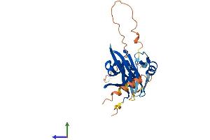 AlphaFold protein structure predicition of Human Recombinant SIAH3 Protein, UniprotID Q8IW03 (SIAH3 Protein (AA 1-269) (His tag))