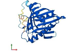 Protein Structure (PS) image for StAR-Related Lipid Transfer (START) Domain Containing 4 (STARD4) (AA 1-224) protein (His tag) (ABIN7560323)