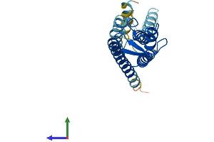 Protein Structure (PS) image for Gap Junction Protein, beta 2, 26kDa (GJB2) (AA 1-226) protein (His tag) (ABIN7556852)