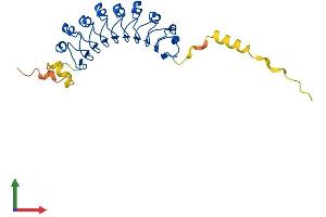 Protein Structure (PS) image for Leucine Rich Repeat Containing 10 (LRRC10) (AA 1-274) protein (His tag) (ABIN7559555)