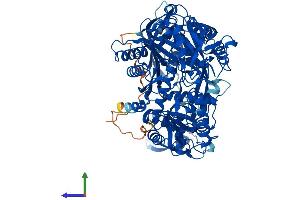 AlphaFold protein structure predicition of Mouse Recombinant Ago2 Protein, UniprotID Q8CJG0