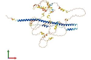 Protein Structure (PS) image for Nuclear Receptor Coactivator 4 (NCOA4) (AA 1-614) protein (His tag) (ABIN7549672)
