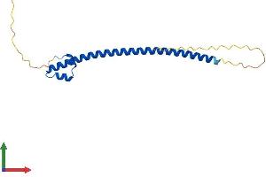 Protein Structure (PS) image for Transcription Factor MafG (Mafg) (AA 1-162) protein (His tag) (ABIN7549249)