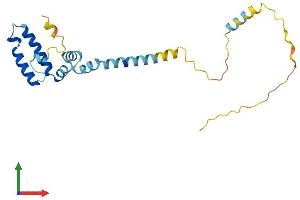 AlphaFold protein structure predicition of Mouse Recombinant Dnajc5 Protein, UniprotID P60904