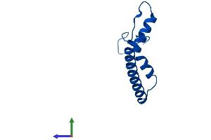 Protein Structure (PS) image for Mitochondrial Ribosomal Protein S21 (MRPS21) (AA 1-87) protein (His tag) (ABIN7545866)