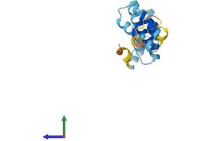 Protein Structure (PS) image for Fission 1 (FIS1) (AA 1-152) protein (His tag) (ABIN7547612)