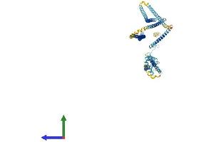 Protein Structure (PS) image for MAD1 Mitotic Arrest Deficient-Like 1 (MAD1L1) (AA 1-718) protein (His tag) (ABIN7554507)