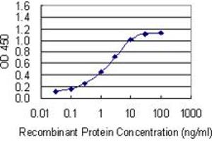 Detection limit for recombinant GST tagged NOMO3 is 0. (NOMO3 抗体  (AA 966-1033))