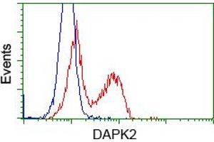 HEK293T cells transfected with either pCMV6-ENTRY DAPK2 (RC216274) (Red) or empty vector control plasmid (Blue) were immunostained with anti-DAPK2 mouse monoclonal (ABIN2452941), and then analyzed by flow cytometry. (DAPK2 抗体)