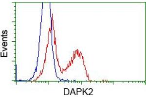 HEK293T cells transfected with either pCMV6-ENTRY DAPK2 (RC216274) (Red) or empty vector control plasmid (Blue) were immunostained with anti-DAPK2 mouse monoclonal (ABIN2452941), and then analyzed by flow cytometry. (DAPK2 抗体)