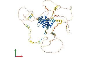 Protein Structure (PS) image for Numb Homolog (Drosophila)-Like (NUMBL) (AA 1-609) protein (His tag) (ABIN7554811)