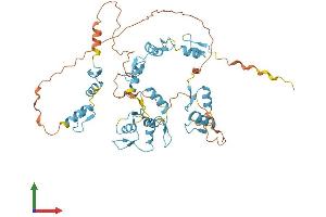 Protein Structure (PS) image for FLT3-Interacting Zinc Finger 1 (FIZ1) (AA 1-496) protein (His tag) (ABIN7547724)