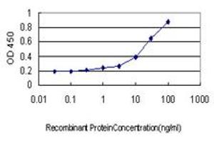 Detection limit for recombinant GST tagged STAU1 is approximately 0. (STAU1/Staufen 抗体  (AA 401-496))