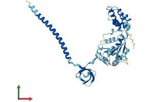 Protein Structure (PS) image for Proteasome (Prosome, Macropain) 26S Subunit, ATPase, 6 (PSMC6) (AA 1-389) protein (His tag) (ABIN7556606)