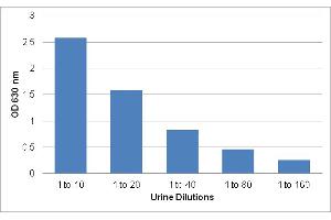 Human Urine Sample Dilutions Tested with the Urea Assay Kit. (Urea Assay Kit)