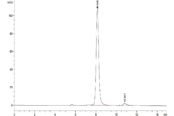 PLA2G1B Protein (AA 23-148) (Fc Tag)