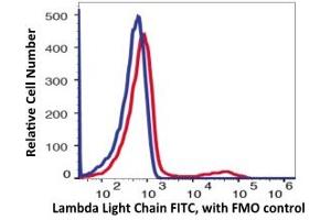 Flow Cytometry (FACS) image for anti-lambda Light Chain (Lambda-IgLC) antibody (FITC) (ABIN6253021) (Lambda-IgLC 抗体  (FITC))