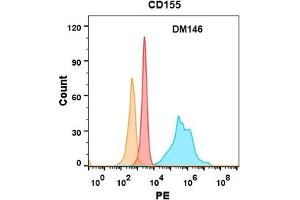 CD155 protein is highly expressed on the surface of Expi293 cell membrane. (Poliovirus Receptor 抗体  (AA 21-343))