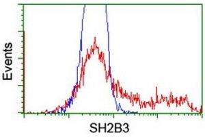 HEK293T cells transfected with either RC218359 overexpress plasmid (Red) or empty vector control plasmid (Blue) were immunostained by anti-SH2B3 antibody (ABIN2454461), and then analyzed by flow cytometry. (SH2B3 抗体)
