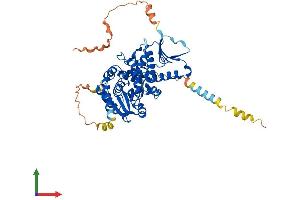Protein Structure (PS) image for CDC14 Cell Division Cycle 14B (CDC14B) (AA 1-485) protein (His tag) (ABIN7558071)