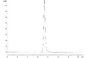 Size-exclusion chromatography-High Pressure Liquid Chromatography (SEC-HPLC) image for Complement Decay-Accelerating Factor (CD55) (AA 35-353) protein (His tag) (ABIN7274193)