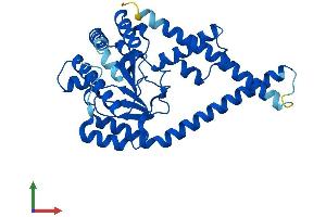 AlphaFold protein structure predicition of Mouse Recombinant Dhdds Protein, UniprotID Q99KU1