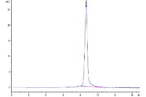 Size-exclusion chromatography-High Pressure Liquid Chromatography (SEC-HPLC) image for Growth Arrest-Specific 6 (GAS6) (AA 31-637) protein (His tag) (ABIN7274696)
