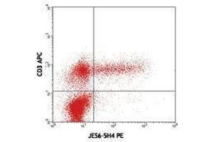 Flow Cytometry (FACS) image for anti-Interleukin 2 (IL2) antibody (PE) (ABIN2663776) (IL-2 抗体  (PE))