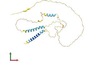 AlphaFold protein structure predicition of Human Recombinant BNIP3 Protein, UniprotID Q12983