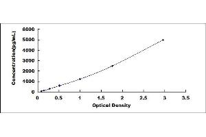 Typical standard curve (SERPINB3 ELISA 试剂盒)