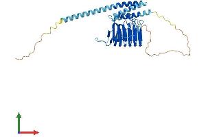 AlphaFold protein structure predicition of Human Recombinant TBCC Protein, UniprotID Q15814