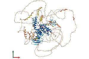Protein Structure (PS) image for Asparagine-Linked Glycosylation 13 Homolog (ALG13) (AA 1-1166) protein (His tag) (ABIN7564996)
